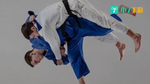 男柔道技能